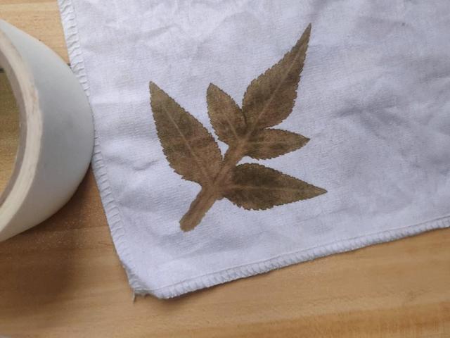 环境科学与工程学院风采展