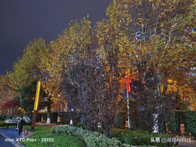 VIVO X70Pro+和OPPO reno6 pro+夜景拍照对比赏析「第2期」