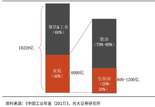 点金龙鱼