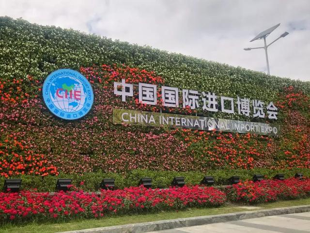 进博会2020机械工程展利勃海尔