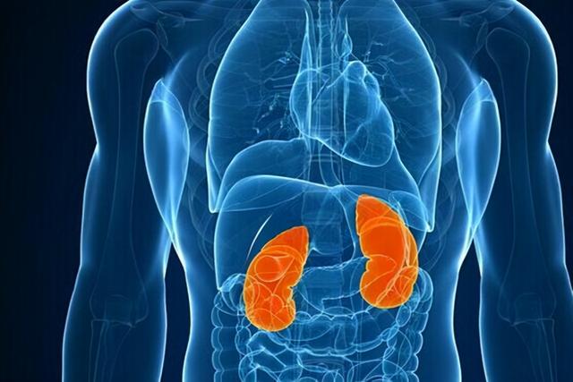 国医大师：学会生活三部曲，给“肾”洗洗澡