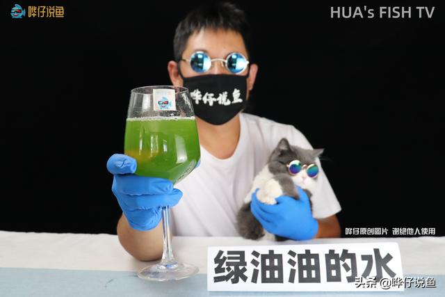 板式过滤机助滤剂