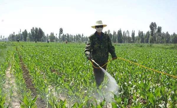 79种除草剂在土壤中的持效期汇总，新农人必备3