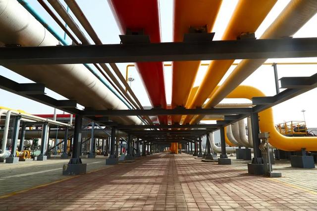 沙漠里的超级工程！总投资70亿，中国在沙漠建“地下粮仓”