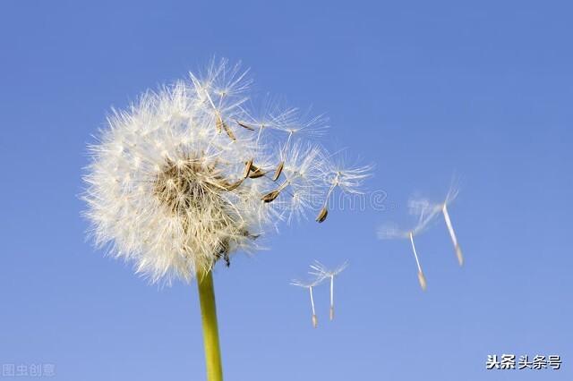 真诚分享：亲身经历，全职妈妈做了兼职后的感想