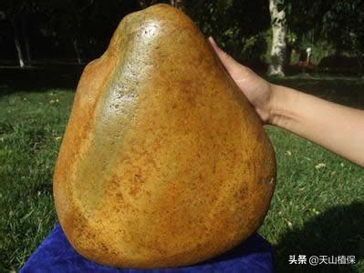 吐鲁番河卵石制砂机