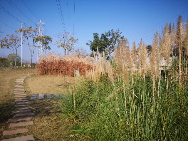 长兴岛郊野公园团建