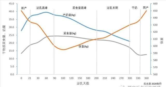 奶牛多少钱