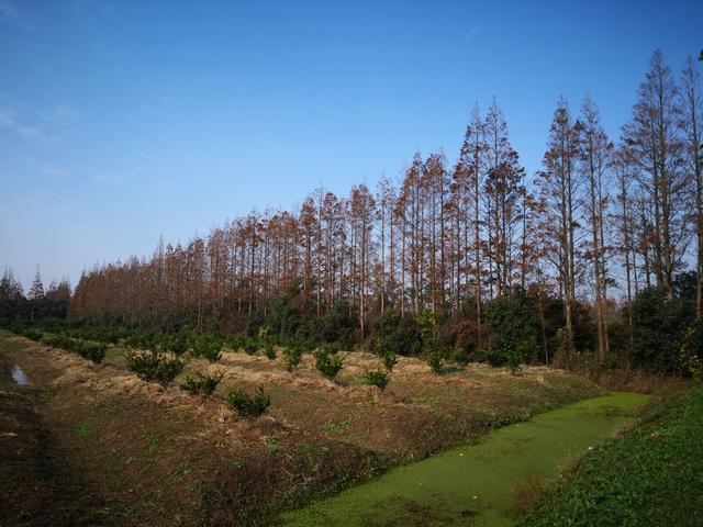 长兴岛郊野公园团建