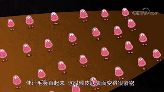 为什么亲男朋友脖子他会起鸡皮疙瘩