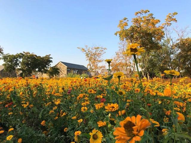 花卉市场