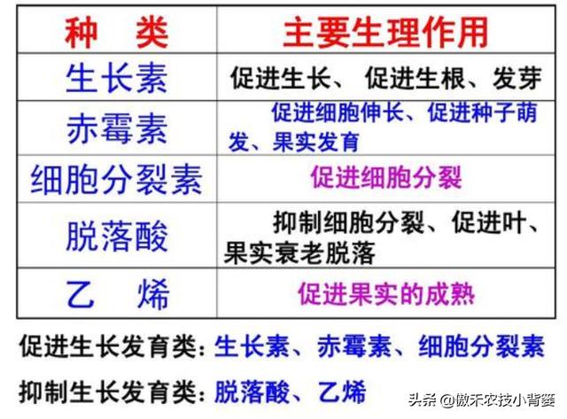 植物生长调节剂种类多、差异大，农民要学会挑选和使用的正确方法2