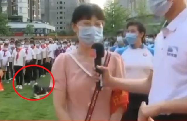 开学典礼女生倒地昏迷，长达半分钟竟无人关注，校方作出回应