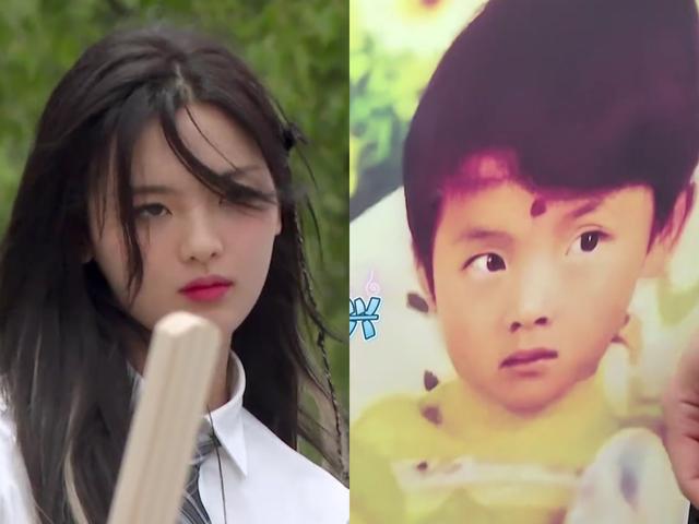 张彬彬小时候张彬彬小时候