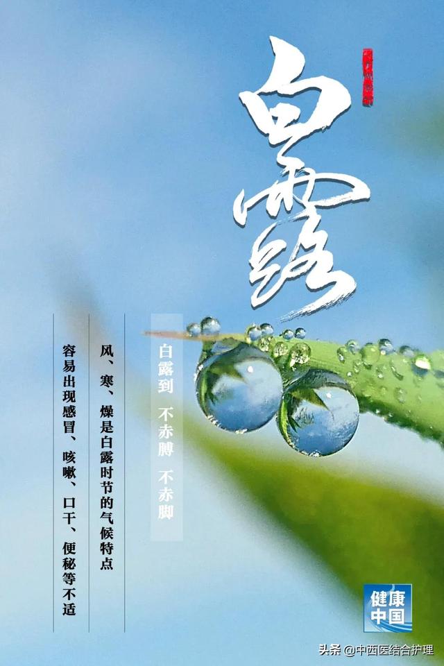 「白露养生」白露至，秋意浓！牢记三件事，做好了秋冬少生病