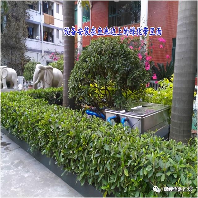 鱼池过滤机怎么用