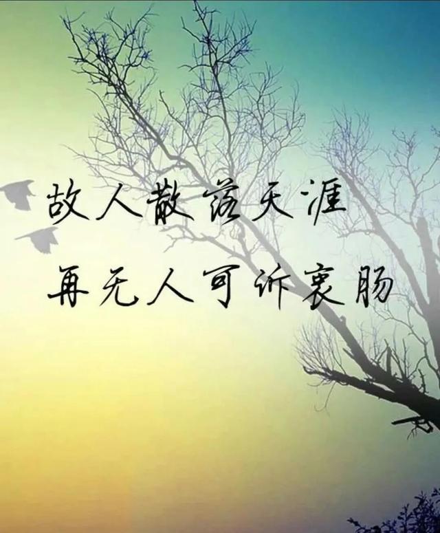 当下人状态：无尽空虚和困惑