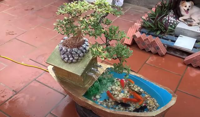 船型的花盆种什么花好看(元宝船型花盆种什么花好看)-天晟网