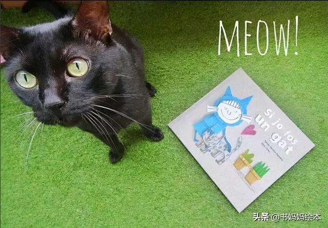 猫咪主题绘本推荐和孩子一同打开喵星人的世界