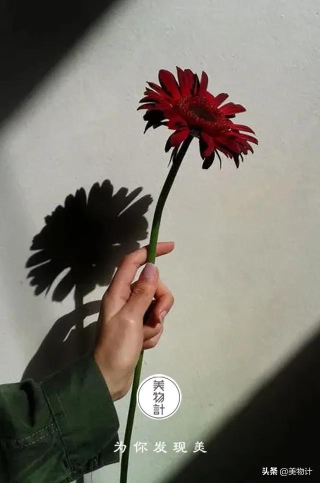 「今日通告」迪厅跳舞视频——迪厅美女跳舞视频