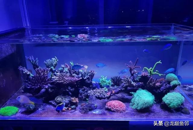 海缸水族过滤机