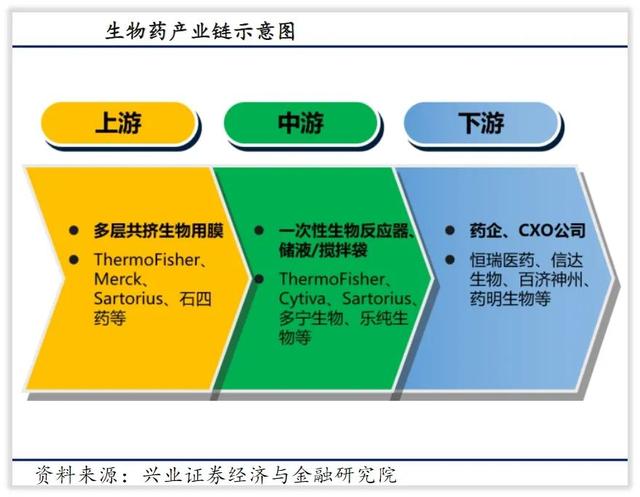 恒瑞医药的未来如何？