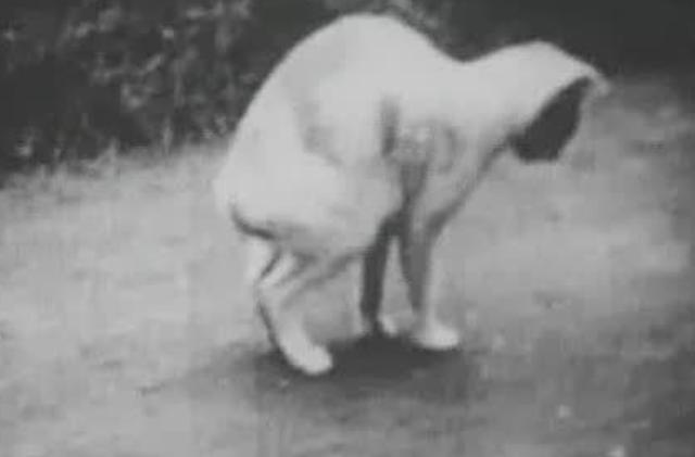 日本十大灵异事件（是真实故事还是人为编造）