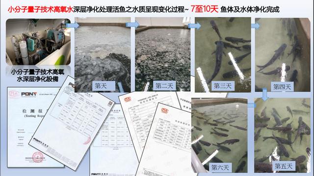 微过滤机水产