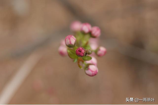 恁地的意思