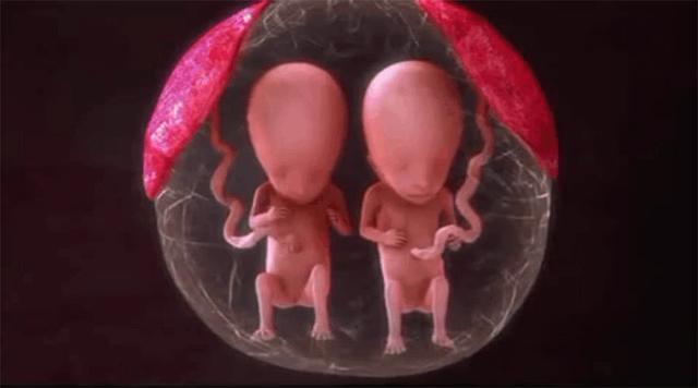 全球首例9胞胎！5女4男！体重均不足1公斤，究竟是如何实现的？