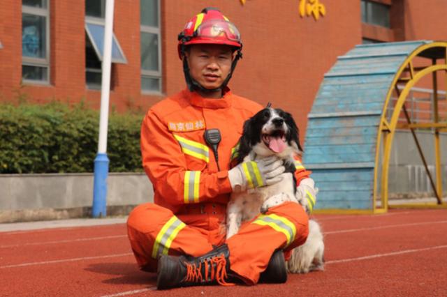 司法部就傅政华被查连夜表态，巴西外交部回应中领馆遭袭事件