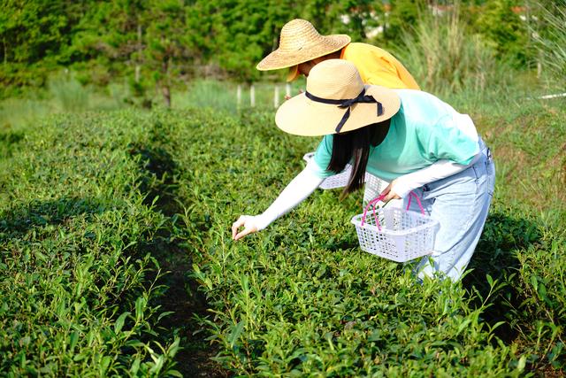 惠州团建适合去的地方