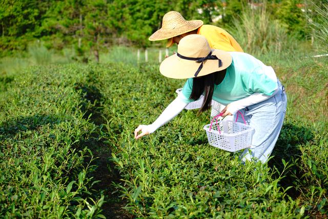 惠州团建适合去的地方