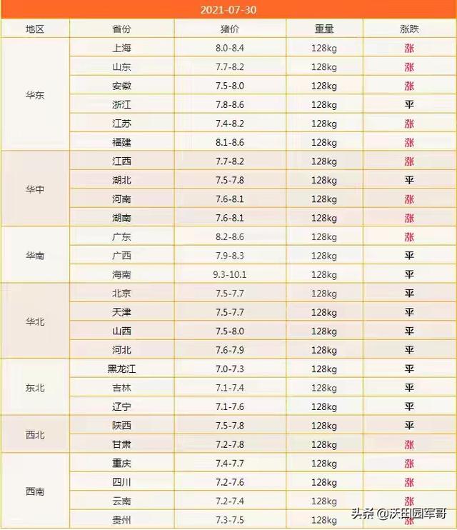 7月31日豬價預測 漲 漲 漲 21年7月31日豬價分析 Kks資訊網