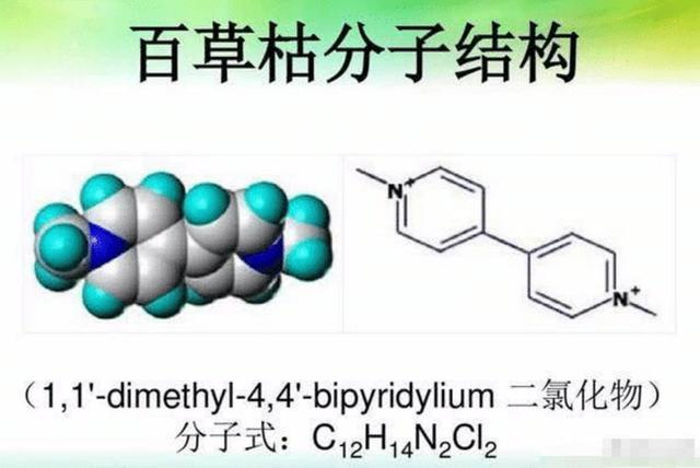 百草枯无药可解？百草枯的发明者，为何不把解药一起发明出来？5