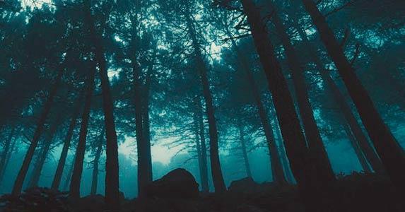 亡灵末班车全文免费阅读(亡灵末班车知乎)