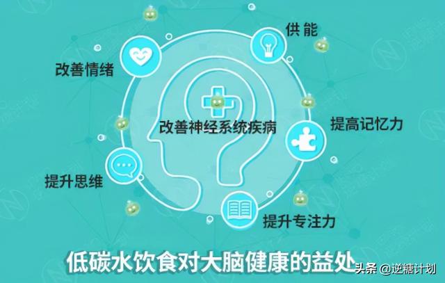 揭秘！人体所需七大营养素背后的健康奥秘