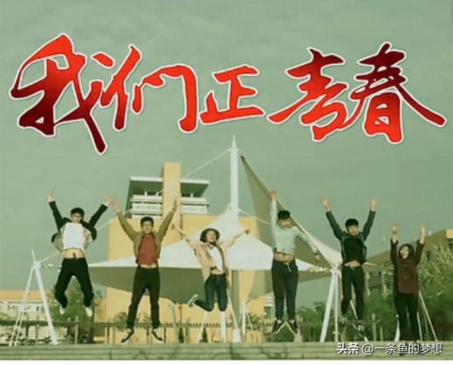 大学校园故事（我的大学生青春故事）