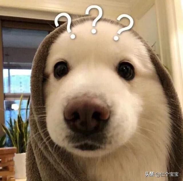 孩子总是拖延、磨蹭、装听不见？永远不说两次法，帮娃变身行动派