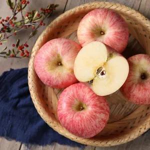 这个秋天你的胃吃对水果了吗？