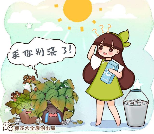 植物动不动就黄叶，这8个原因弄清楚，想黄叶都难2