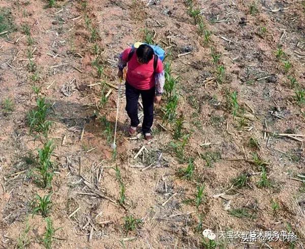 农药常见配制操作及注意事项！8