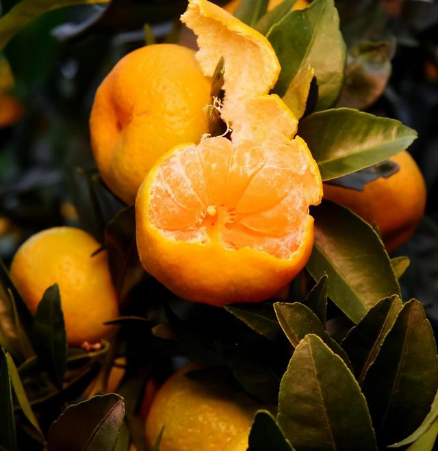 14岁男孩身高180cm，儿科医生：冬季多吃“4黄”，或有助孩子长高