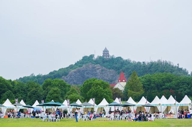 上海有什么好玩的地方适合小孩子(上海风景好的地方有哪些)
