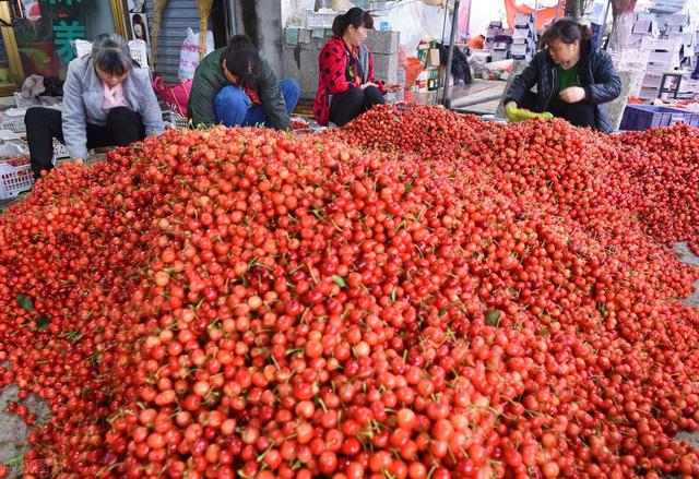 产地樱桃低至6元，荔枝跌破3元，桃子4毛遭砍树，水果下跌咋回事