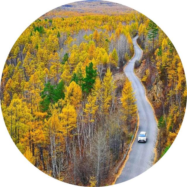 微信头像,秋天最迷人的景色,足足40张-站库网