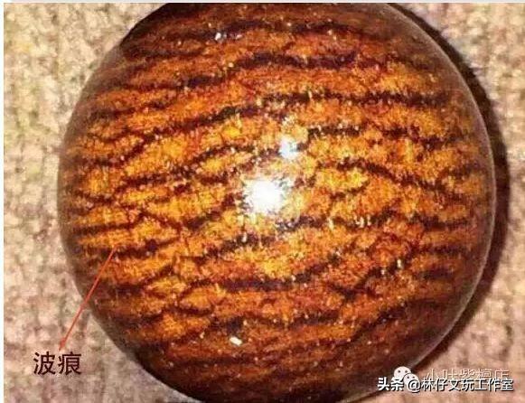 龙鳞跟鱼鳞的区别
