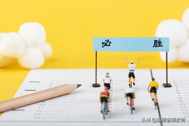 深圳大厂妈妈带娃实录：上菜小、全寄宿、不培训...