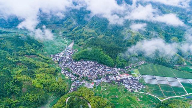 【我要去慶元避暑】不出省的療休養，就躲進避世的山野中享樂吧！