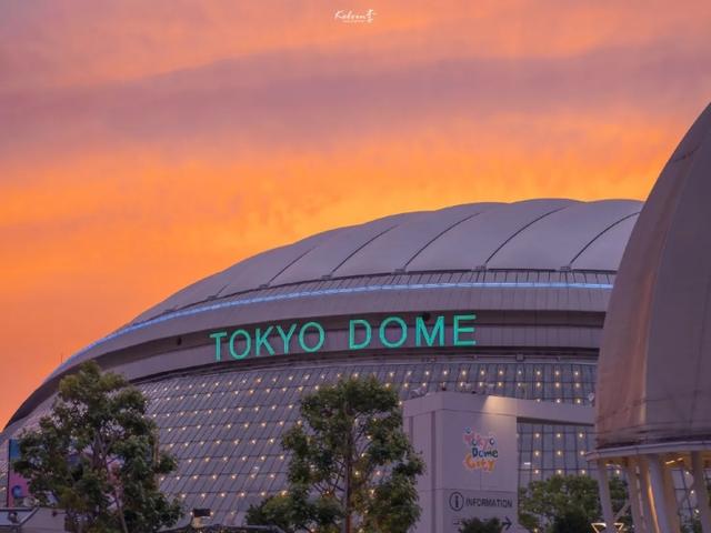 信仰全文阅读（信仰全文阅读免费）